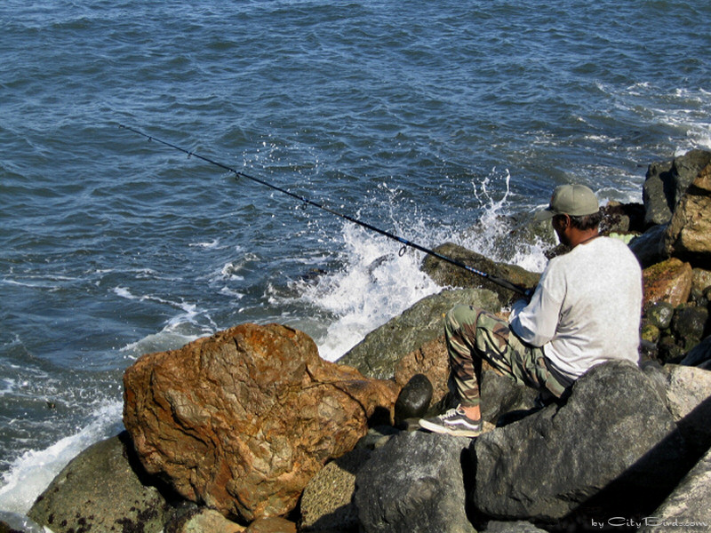 Fishing on San Francisco Bay
